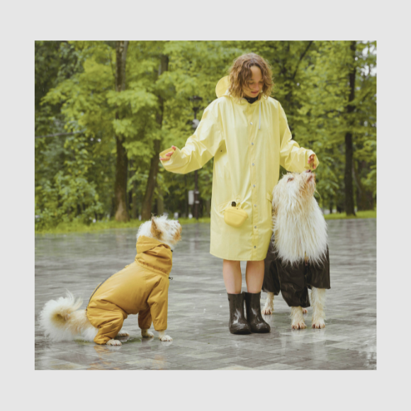 Regenpakken & Regenponcho