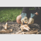 Camping Gadgets