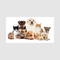 Dierenaccessoires