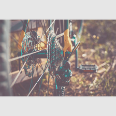 Collection image for: Fietsonderdelen