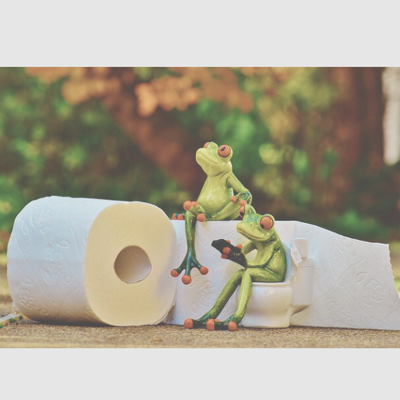 Toiletborstel en Houder