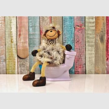 Toiletkrukjes