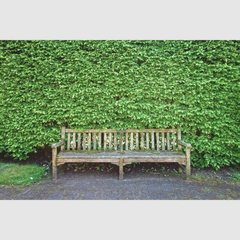 Collection image for: Tuinmeubels