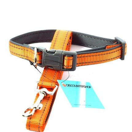Honden Halsband met uitlaatriem -Oranje - Hondentuig met reflector - Wandelen - Uitlaten - Medium honden - Uitlaatriem 100 cm - Halsband 33 - 50 cm