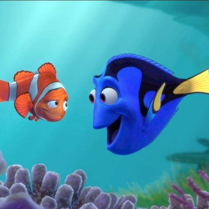 Dory 5-delige schrijfwaren set - liniaal , Potlood , Gum , Puntenslijper en kleine notitieboekje