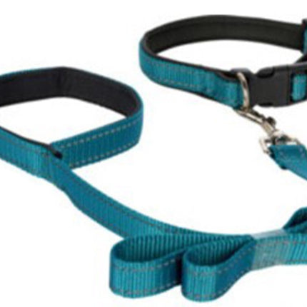 Honden Halsband met uitlaatriem -Turqiouse - Hondentuig met reflector - Wandelen - Uitlaten - voor smal honden - Uitlaatriem 100 cm - Halsband 25 - 40 cm