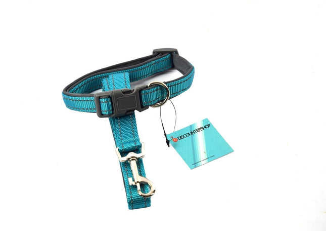 Honden Halsband met uitlaatriem -Turqiouse - Hondentuig met reflector - Wandelen - Uitlaten - voor Meduim honden - Uitlaatriem 100 cm - Halsband 33 - 50 cm33