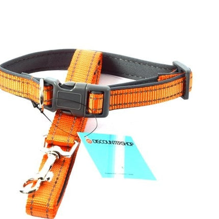 Honden Halsband met uitlaatriem -Oranje - Hondentuig met reflector - Wandelen - Uitlaten - voor smal honden - Uitlaatriem 100 cm - Halsband 25 - 40 cm