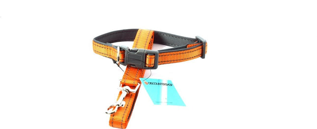 Honden Halsband met uitlaatriem -Oranje - Hondentuig met reflector - Wandelen - Uitlaten - voor smal honden - Uitlaatriem 100 cm - Halsband 25 - 40 cm