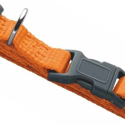 Honden Halsband met uitlaatriem -Oranje - Hondentuig met reflector - Wandelen - Uitlaten - voor smal honden - Uitlaatriem 100 cm - Halsband 25 - 40 cm