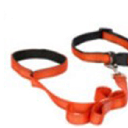 Honden Halsband met uitlaatriem -Oranje - Hondentuig met reflector - Wandelen - Uitlaten - voor smal honden - Uitlaatriem 100 cm - Halsband 25 - 40 cm