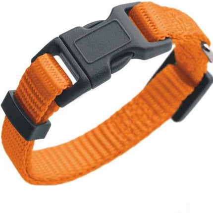 Honden Halsband met uitlaatriem -Oranje - Hondentuig met reflector - Wandelen - Uitlaten - voor smal honden - Uitlaatriem 100 cm - Halsband 25 - 40 cm