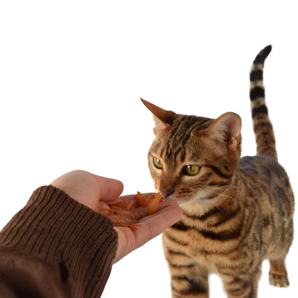 Smakelijke Kip Traktatie - Hoogwaardige Traktaties voor Katten - 85g Zak - Met 80% Kip - Zonder Suiker