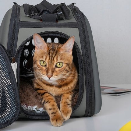 Reistas Kat - Draagtas Kat - tot 6 KG - Reismand Kat - Transporttas Kat - Kattentas - Stijlvolle en Handige Transportbox - Katten Reistas - Reisbench Hond - Konijn - Grijs - One size