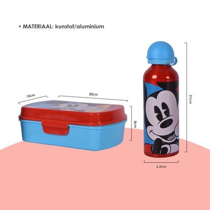 Broodtrommel | broodtrommel kind | 3 Vakjes | Met bidon | 500 ml | Drinkfles | kunstof/aluminium | BPA Vrij | Brooddoos | 10cm*20cm*8cm 