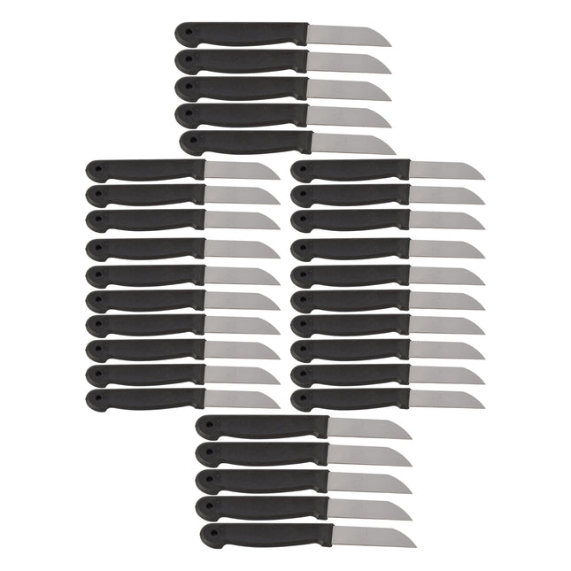 Zwarte Schilmesjes Set - Koksmessen - Keukenmessen - Roestvrij Staal en Plastic - Afmetingen: 16x1x0.8cm - 30 stuks in totaal