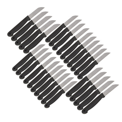 Zwarte Schilmesjes Set - Koksmessen - Keukenmessen - Roestvrij Staal en Plastic - Afmetingen: 16x1x0.8cm - 30 stuks in totaal