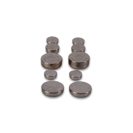 20 Stuks Premium Knoopcellen en Batterijen - Zilverkleurig, Alkaline en Lithium, 1.5V Voltage - Inclusief AG1, AG3, AG12, AG13, AG4 en AG10