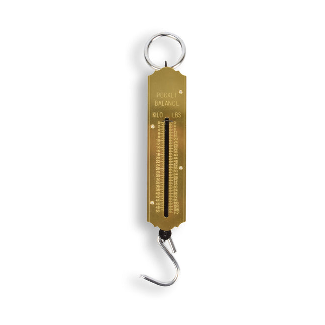 1x | Bagageweegschaal | metaal | Bagage wegen | Weegschaal | Bereik: tot 50 kg/110 lb | met ring en haak | 5cm*20cm*5.5cm