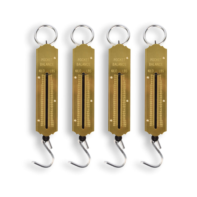 4x | Bagageweegschaal | metaal | Bagage wegen | Weegschaal | Bereik: tot 50 kg/110 lb | met ring en haak | 5cm*20cm*5.5cm