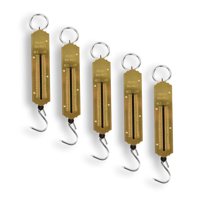 5x | Bagageweegschaal | metaal | Bagage wegen | Weegschaal | Bereik: tot 50 kg/110 lb | met ring en haak | 5cm*20cm*5.5cm