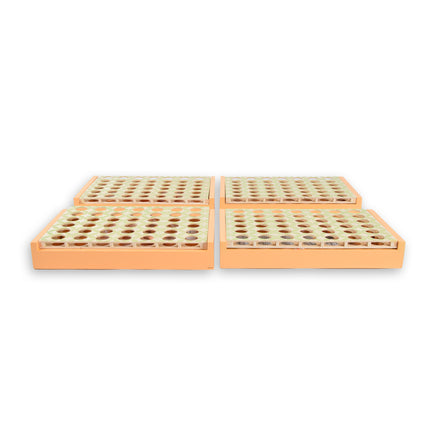 4 Stuks Kleurrijke Bordspellen voor Kinderen - vanaf 6+ Jaar - Inclusief 21 Rode en 21 Blauwe Fiches in één doos - 24cmx15cmx4cm 