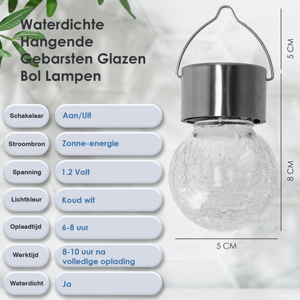  Zonne-lampenset voor Solar Tuinverlichting - 10 Solar lampen - Ni-Mh 1.2V - Buitenverlichting - Roestvrijstaal & Edelstahl Cristal