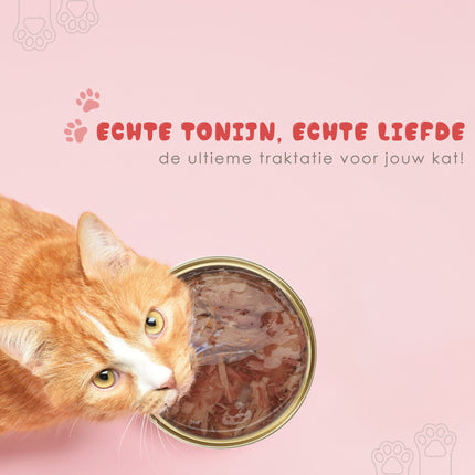 10x Tonijn in Gelei in Blik - Natvoer voor Katten - 51% Tonijn & Rijst – Sappig en Kwaliteit – 85g Natvoer Adult Katten
